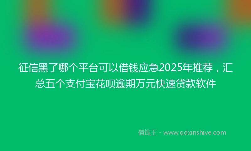 征信黑了哪个平台可以借钱应急2025年推荐，汇总五个支付宝花呗逾期万元快速贷款软件