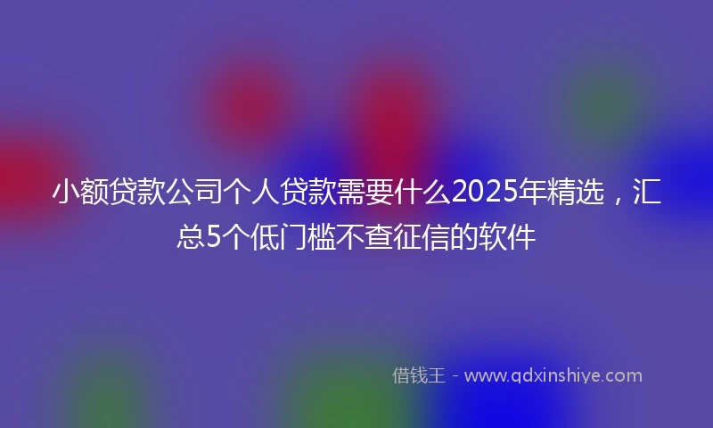 小额贷款公司个人贷款需要什么2025年精选，汇总5个低门槛不查征信的软件