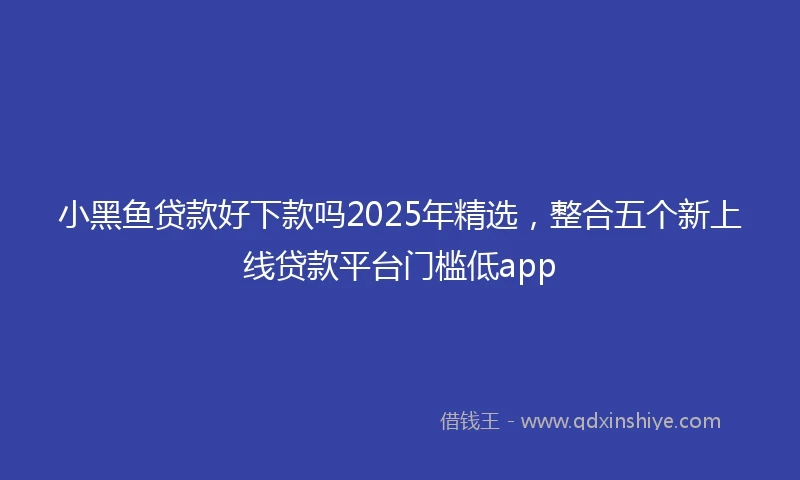 小黑鱼贷款好下款吗2025年精选，整合五个新上线贷款平台门槛低app