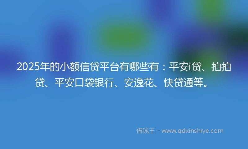 2025年的小额信贷平台有哪些有：平安i贷、拍拍贷、平安口袋银行、安逸花、快贷通等。