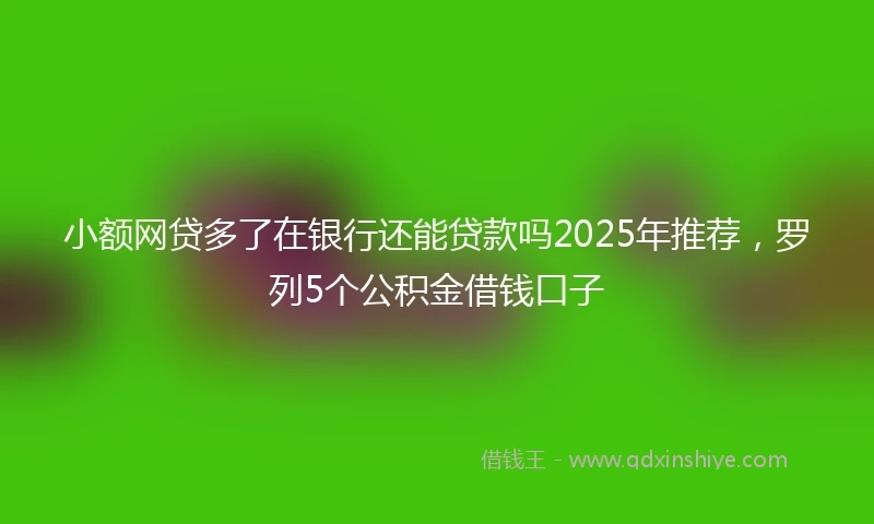 小额网贷多了在银行还能贷款吗2025年推荐，罗列5个公积金借钱口子