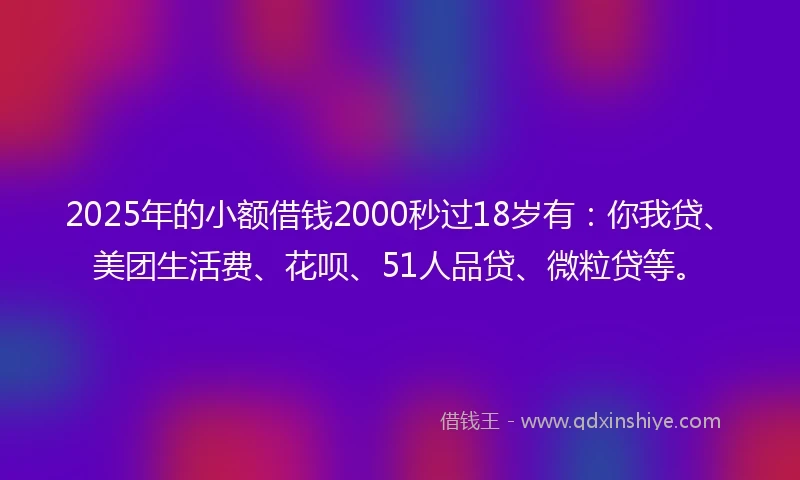 2025年的小额借钱2000秒过18岁有：你我贷、美团生活费、花呗、51人品贷、微粒贷等。