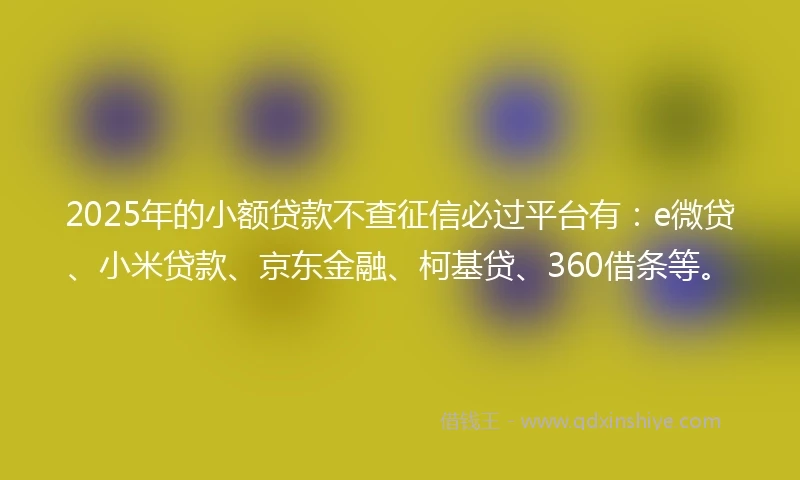 2025年的小额贷款不查征信必过平台有：e微贷、小米贷款、京东金融、柯基贷、360借条等。