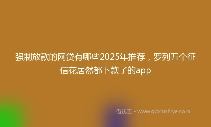 强制放款的网贷有哪些2025年推荐，罗列五个征信花居然都下款了的app