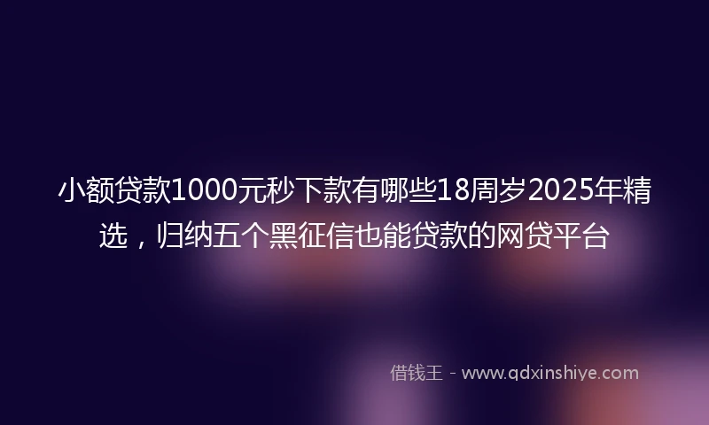 小额贷款1000元秒下款有哪些18周岁2025年精选，归纳五个黑征信也能贷款的网贷平台