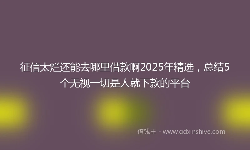 征信太烂还能去哪里借款啊2025年精选，总结5个无视一切是人就下款的平台