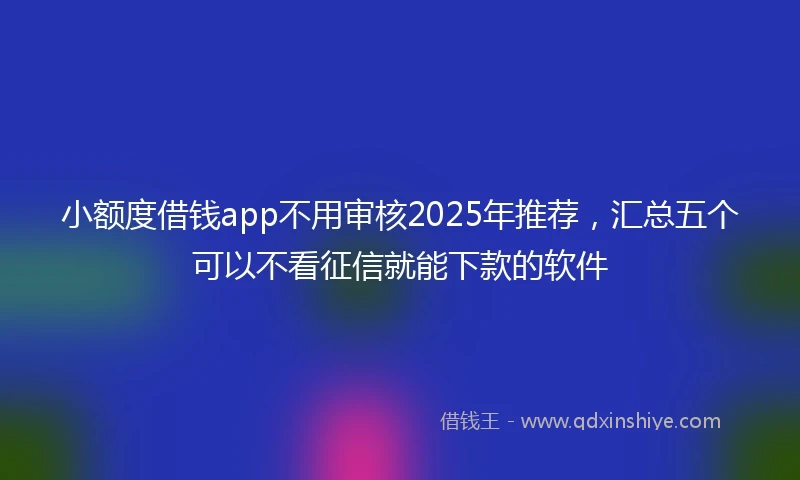 小额度借钱app不用审核2025年推荐，汇总五个可以不看征信就能下款的软件