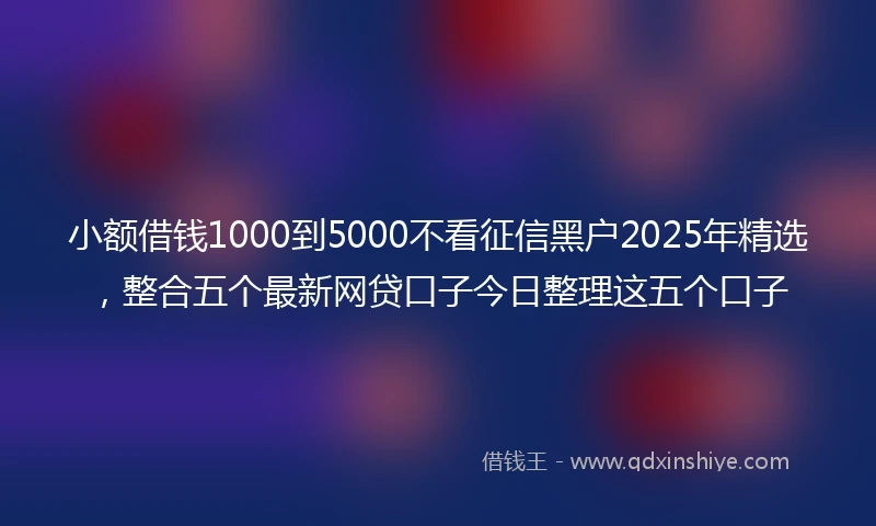 小额借钱1000到5000不看征信黑户2025年精选，整合五个最新网贷口子今日整理这五个口子