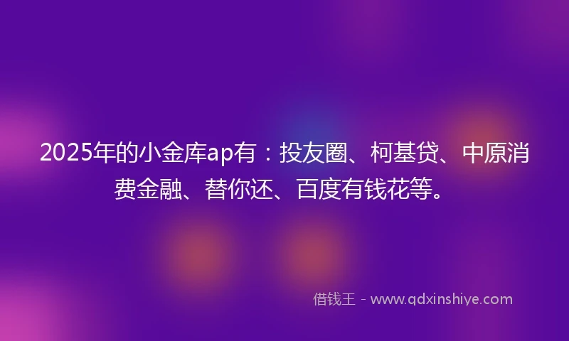 2025年的小金库ap有：投友圈、柯基贷、中原消费金融、替你还、百度有钱花等。
