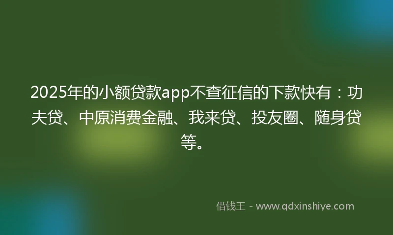 2025年的小额贷款app不查征信的下款快有：功夫贷、中原消费金融、我来贷、投友圈、随身贷等。