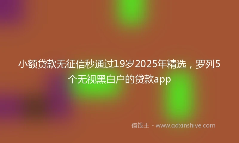 小额贷款无征信秒通过19岁2025年精选，罗列5个无视黑白户的贷款app