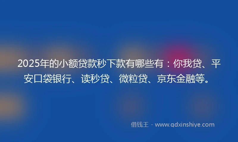 2025年的小额贷款秒下款有哪些有：你我贷、平安口袋银行、读秒贷、微粒贷、京东金融等。
