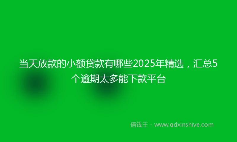 当天放款的小额贷款有哪些2025年精选，汇总5个逾期太多能下款平台