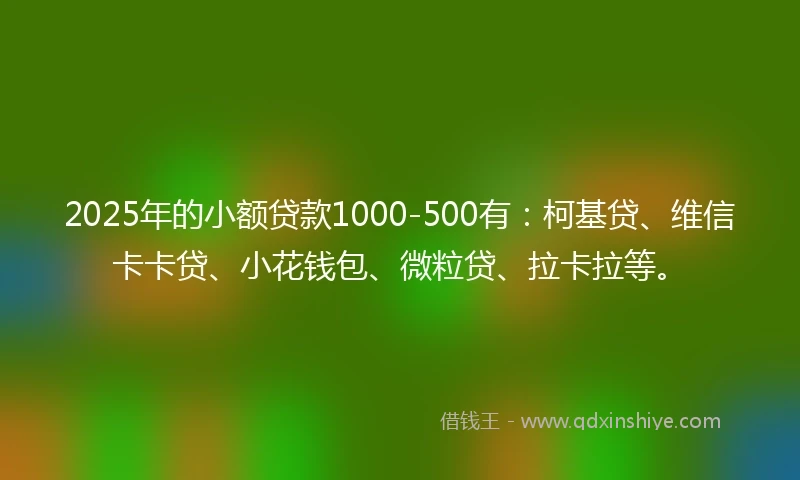 2025年的小额贷款1000-500有：柯基贷、维信卡卡贷、小花钱包、微粒贷、拉卡拉等。