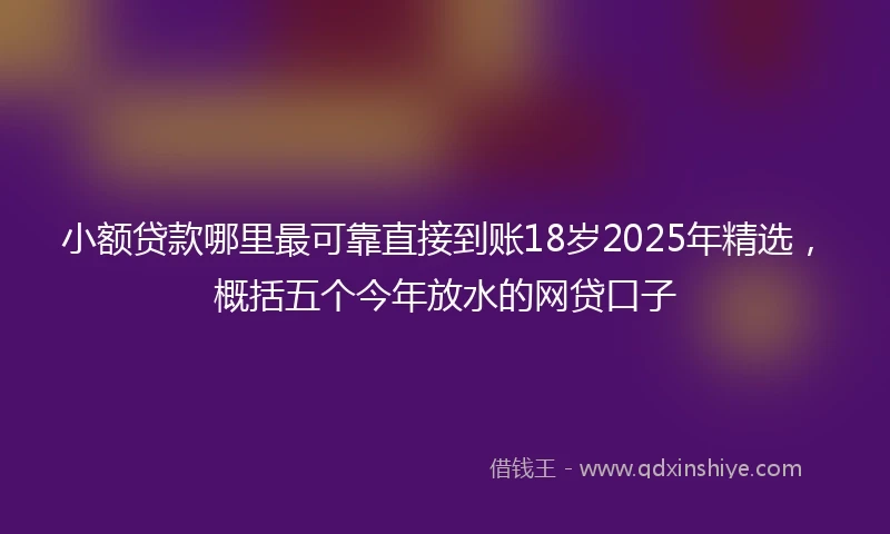 小额贷款哪里最可靠直接到账18岁2025年精选，概括五个今年放水的网贷口子