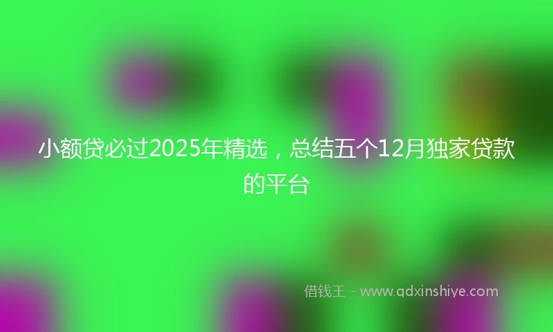小额贷必过2025年精选，总结五个12月独家贷款的平台