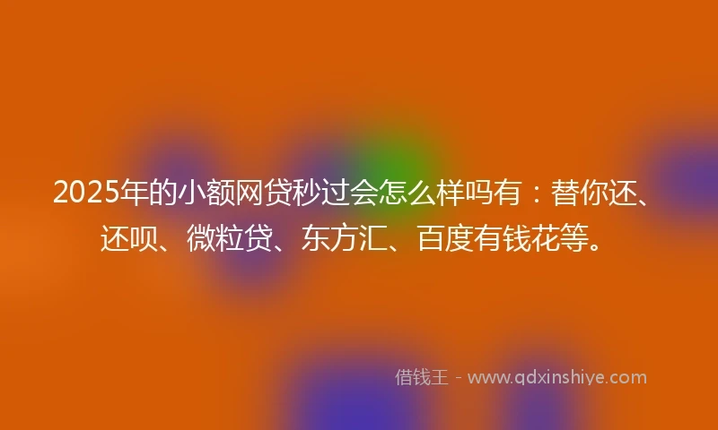 2025年的小额网贷秒过会怎么样吗有：替你还、还呗、微粒贷、东方汇、百度有钱花等。