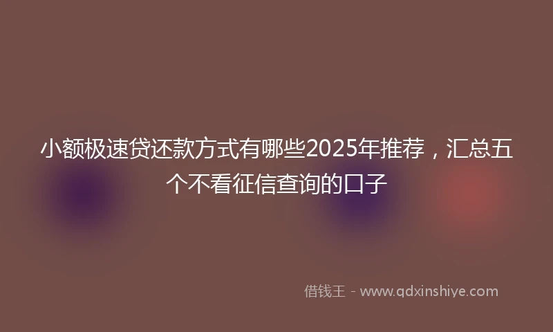 小额极速贷还款方式有哪些2025年推荐，汇总五个不看征信查询的口子