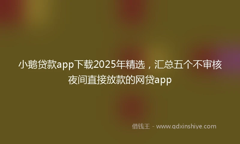 小鹅贷款app下载2025年精选,汇总五个不审核夜间直接放款的网贷app