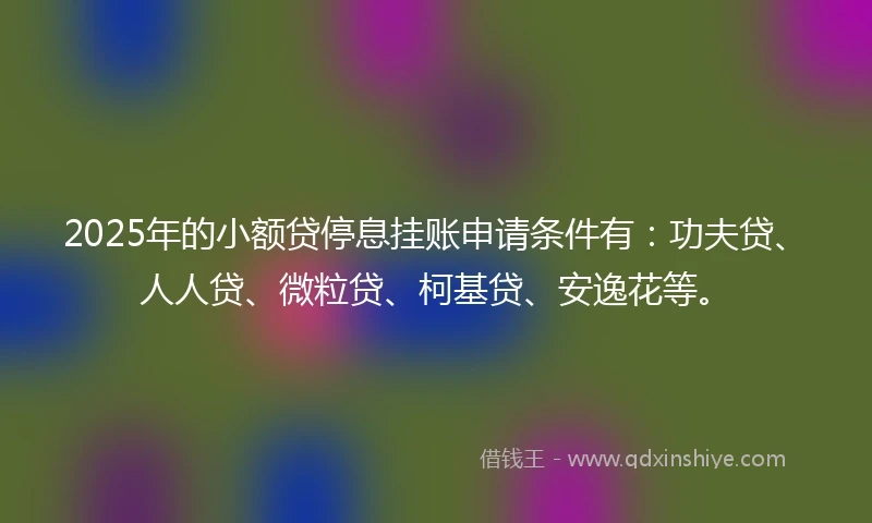 2025年的小额贷停息挂账申请条件有：功夫贷、人人贷、微粒贷、柯基贷、安逸花等。