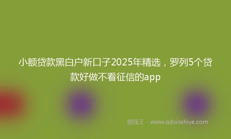 小额贷款黑白户新口子2025年精选，罗列5个贷款好做不看征信的app
