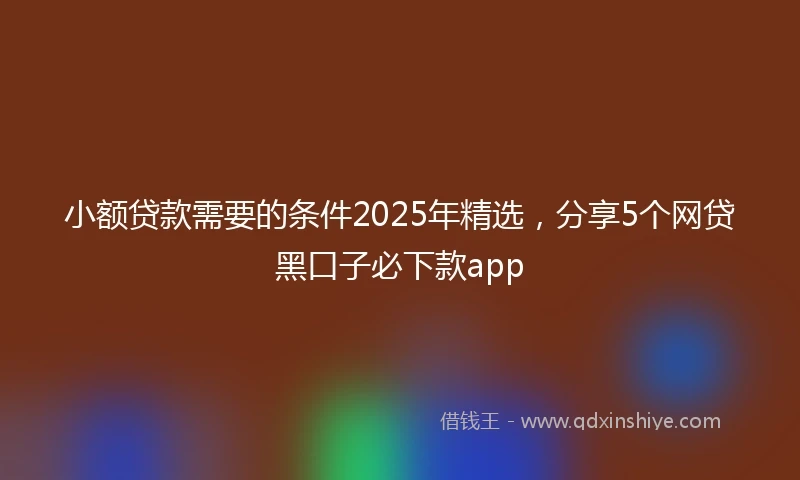 小额贷款需要的条件2025年精选，分享5个网贷黑口子必下款app