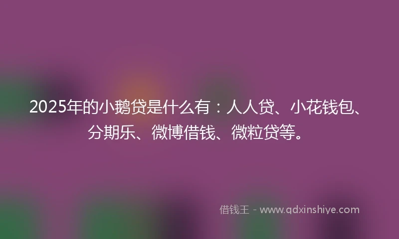 2025年的小鹅贷是什么有：人人贷、小花钱包、分期乐、微博借钱、微粒贷等。