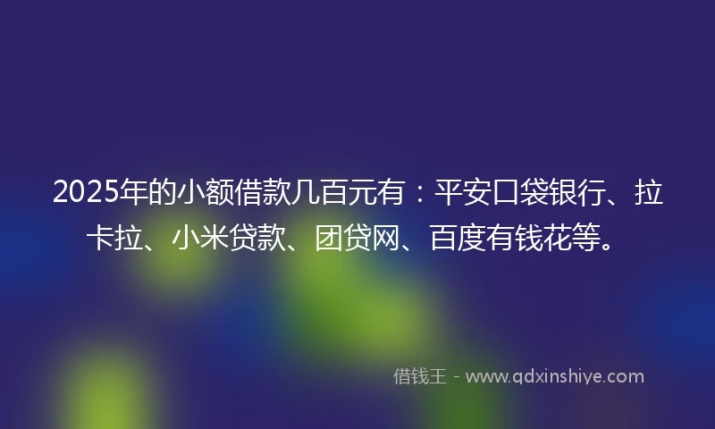 2025年的小额借款几百元有：平安口袋银行、拉卡拉、小米贷款、团贷网、百度有钱花等。