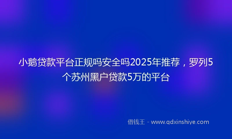 小鹅贷款平台正规吗安全吗2025年推荐，罗列5个苏州黑户贷款5万的平台