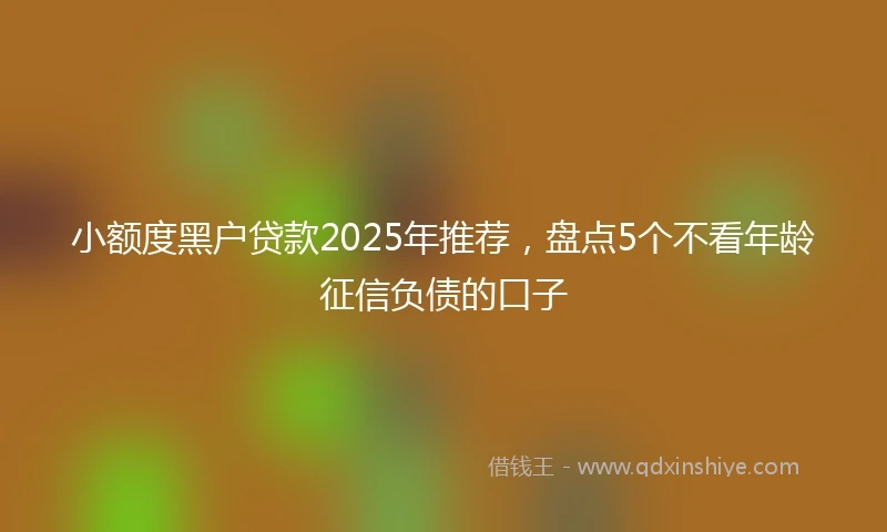 小额度黑户贷款2025年推荐，盘点5个不看年龄征信负债的口子