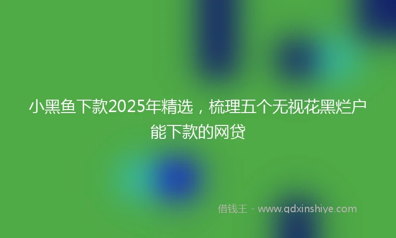 小黑鱼下款2025年精选，梳理五个无视花黑烂户能下款的网贷