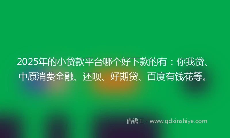 2025年的小贷款平台哪个好下款的有：你我贷、中原消费金融、还呗、好期贷、百度有钱花等。