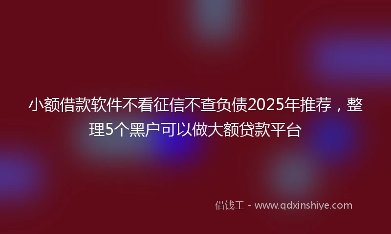 小额借款软件不看征信不查负债2025年推荐，整理5个黑户可以做大额贷款平台