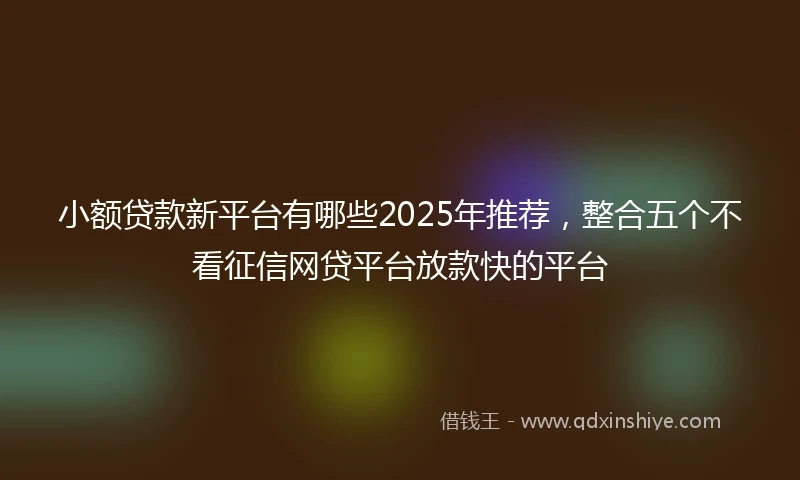小额贷款新平台有哪些2025年推荐，整合五个不看征信网贷平台放款快的平台