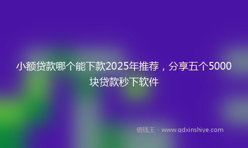 小额贷款哪个能下款2025年推荐，分享五个5000块贷款秒下软件