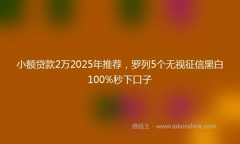 小额贷款2万2025年推荐，罗列5个无视征信黑白100%秒下口子