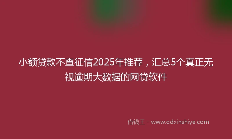 小额贷款不查征信2025年推荐，汇总5个真正无视逾期大数据的网贷软件