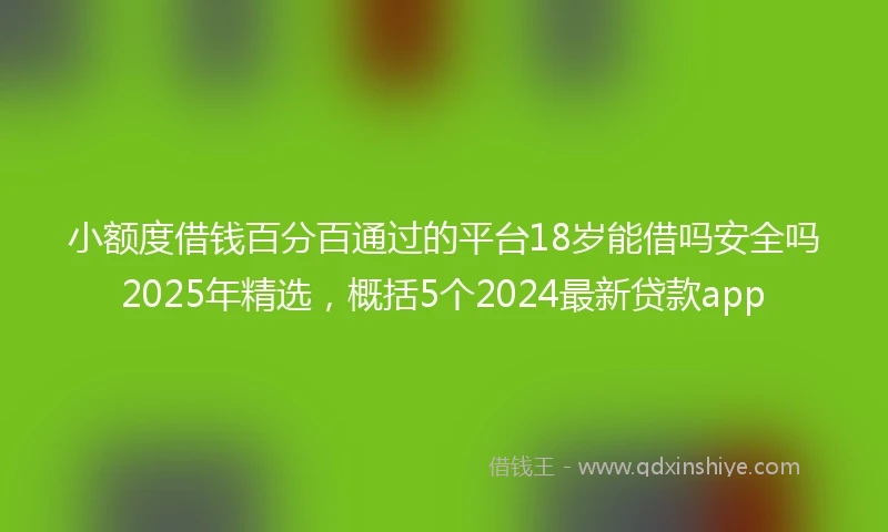 小额度借钱百分百通过的平台18岁能借吗安全吗2025年精选，概括5个2024最新贷款app