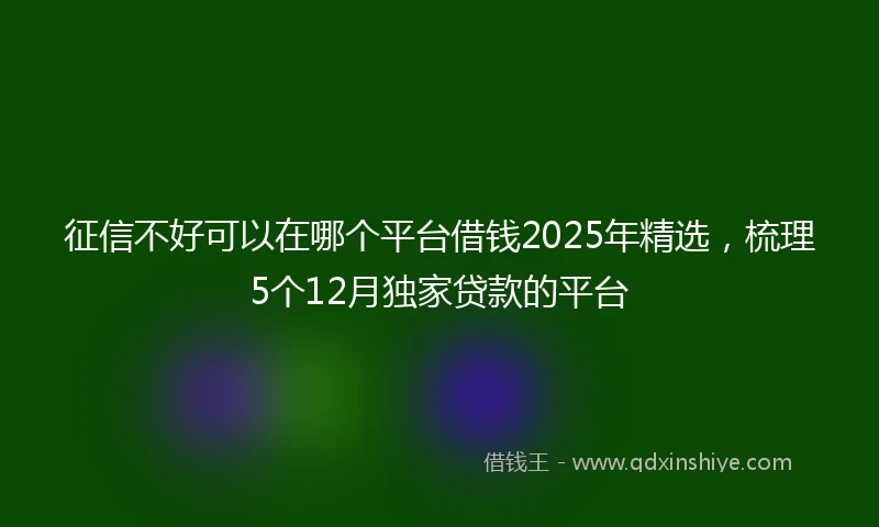 征信不好可以在哪个平台借钱2025年精选，梳理5个12月独家贷款的平台