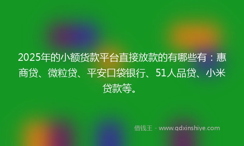 2025年的小额货款平台直接放款的有哪些有：惠商贷、微粒贷、平安口袋银行、51人品贷、小米贷款等。