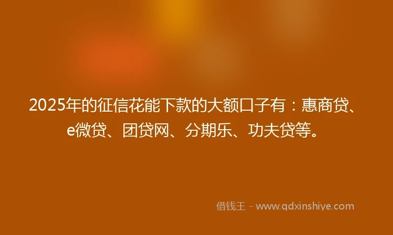 2025年的征信花能下款的大额口子有：惠商贷、e微贷、团贷网、分期乐、功夫贷等。