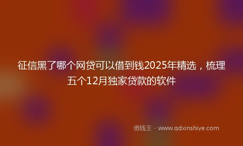 征信黑了哪个网贷可以借到钱2025年精选，梳理五个12月独家贷款的软件