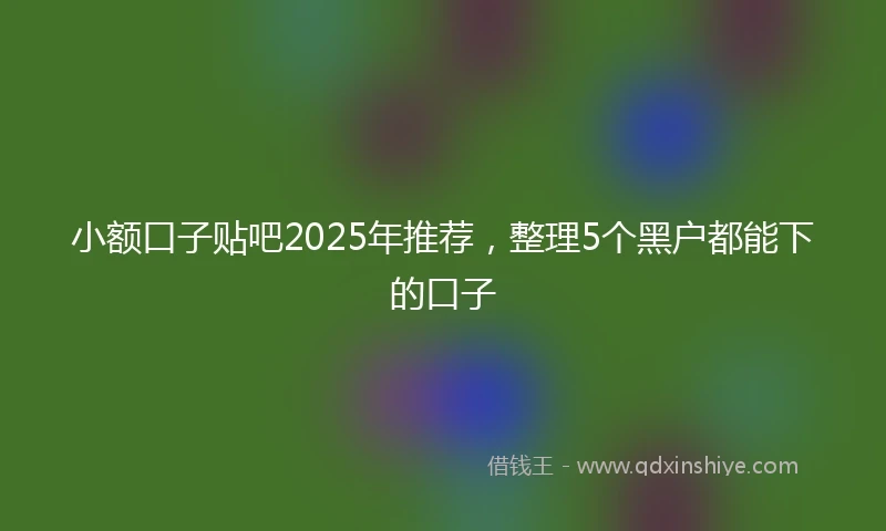 小额口子贴吧2025年推荐，整理5个黑户都能下的口子