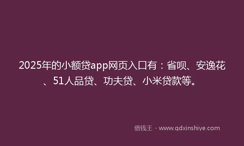 2025年的小额贷app网页入口有：省呗、安逸花、51人品贷、功夫贷、小米贷款等。