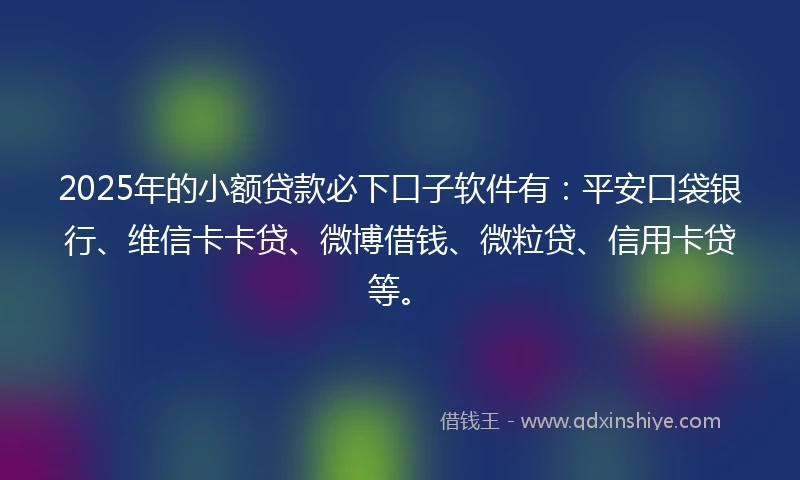2025年的小额贷款必下口子软件有：平安口袋银行、维信卡卡贷、微博借钱、微粒贷、信用卡贷等。