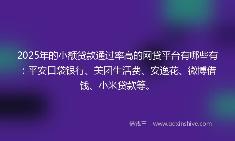 2025年的小额贷款通过率高的网贷平台有哪些有：平安口袋银行、美团生活费、安逸花、微博借钱、小米贷款等。