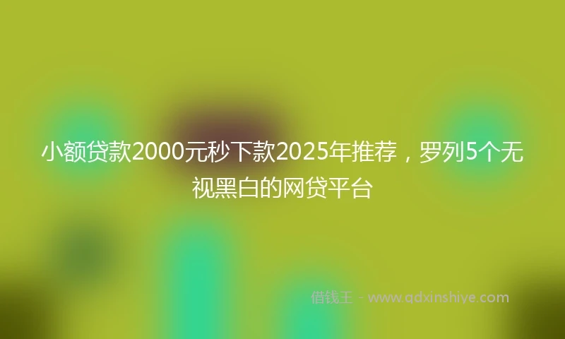 小额贷款2000元秒下款2025年推荐，罗列5个无视黑白的网贷平台