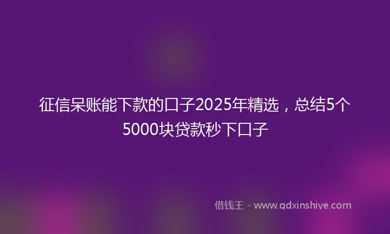 征信呆账能下款的口子2025年精选，总结5个5000块贷款秒下口子