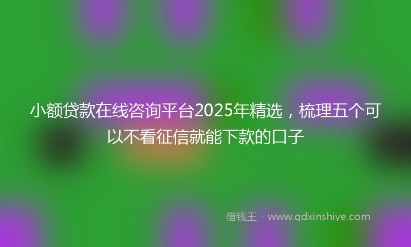 小额贷款在线咨询平台2025年精选，梳理五个可以不看征信就能下款的口子