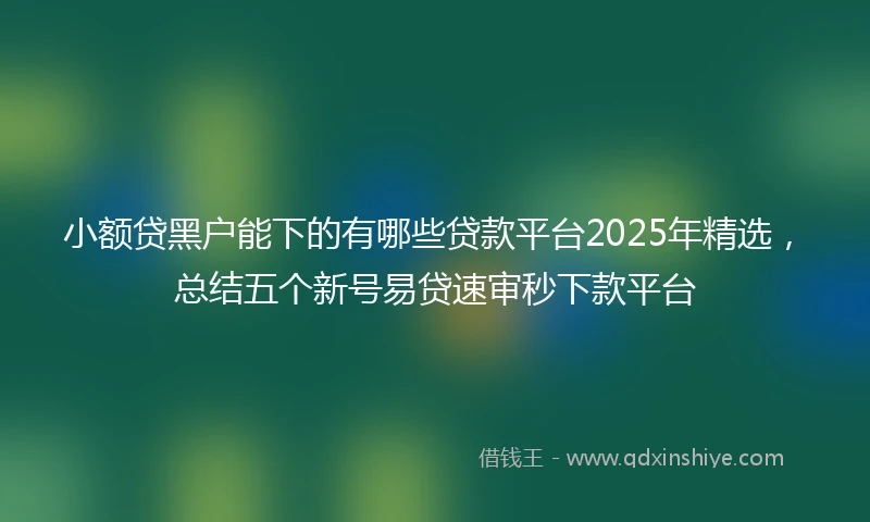 小额贷黑户能下的有哪些贷款平台2025年精选，总结五个新号易贷速审秒下款平台